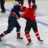 Usa defeated team canada 3-1 in game